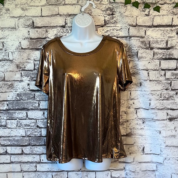 Torrid Liquid Shine Crew Neck Top Size L - Picture 1 of 7